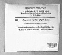 Image Associated With the Occurence